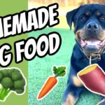 Best Homemade Food for Rottweiler