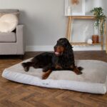 Dog Memory Foam Mattress