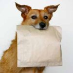 Doggy Pack