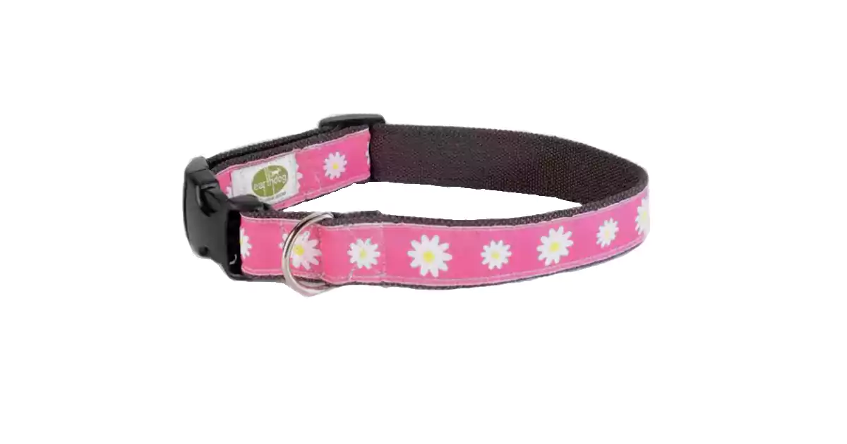 Earth Dog Collars: Eco-Friendly and Stylish Choices