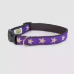 Earth Dog Collars: Eco-Friendly and Stylish Choices