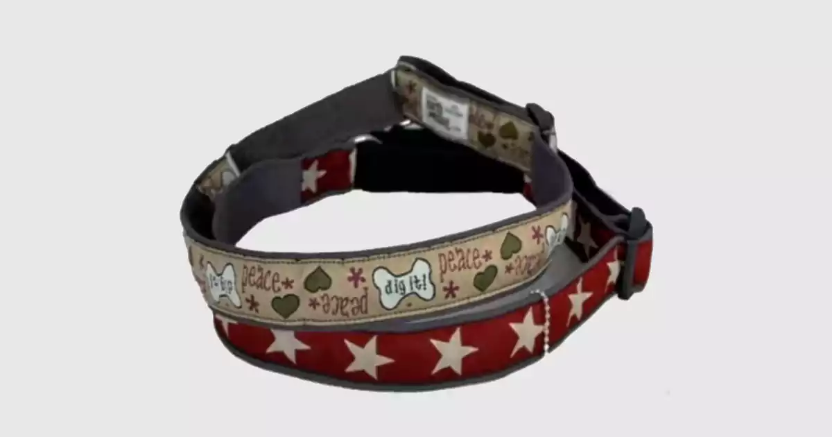 earth dog collar2 Earth Dog Collars: Eco-Friendly and Stylish Choices