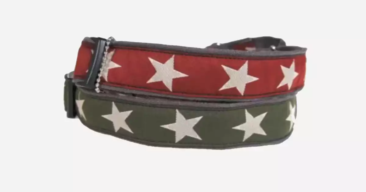 Earth Dog Collars: Eco-Friendly and Stylish Choices