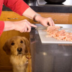 How to Season Chicken for Dogs