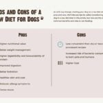 Raw Dog Food Pros And Cons