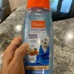 What Dog Shampoo is Bad for Dogs