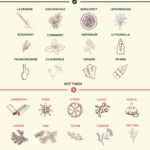 What Kind of Oil is Good for Dogs