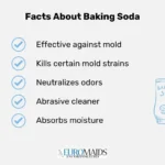 Baking Soda Mold Smell