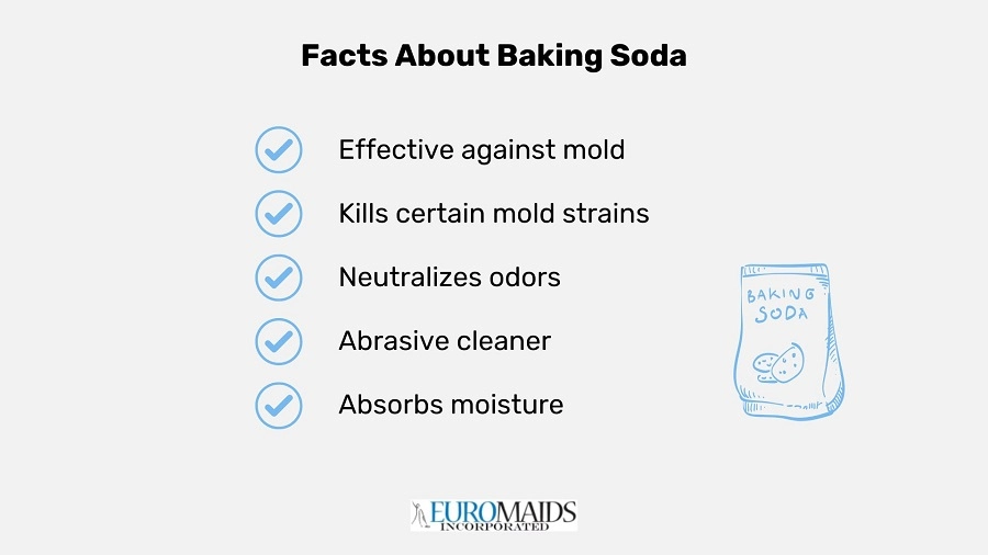 Baking Soda Mold Smell
