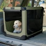 Dog Travel Cages for Cars