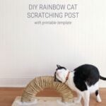 Homemade Cat Scratch Pad