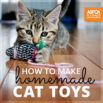 Making Cat Toys