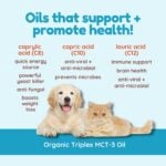 Mct Oil Benefits for Dogs