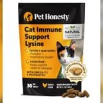 Allergy Meds for Cats