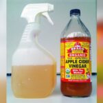 Apple Cider Vinegar for Dog Allergies