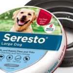 Are Flea Collars Safe for Dogs