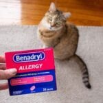 Benadryl for Cat Allergies