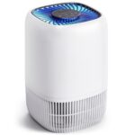 Best Air Purifier for Cat Litter