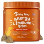Best Allergy Medicine for Dogs With Itchy Skin