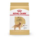 Best Dog Food for Golden Retrievers With Skin Allergies