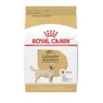 Best Dry Dog Food for Labs