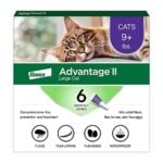 Best Feline Flea Treatment