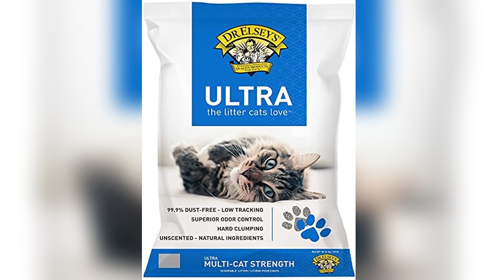 Best Kitty Litter for Allergies