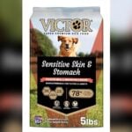 Best Protein for Dogs With Allergies