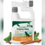 Best Sand Flea Repellent for Dogs