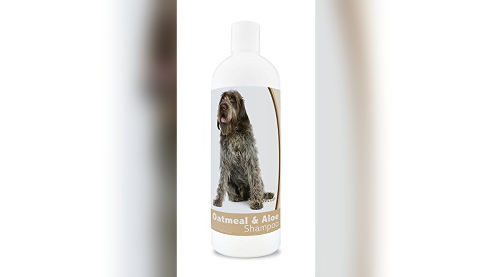 Best Shampoo for Wirehaired Dogs