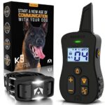 Best Training Collar for Stubborn Dogs