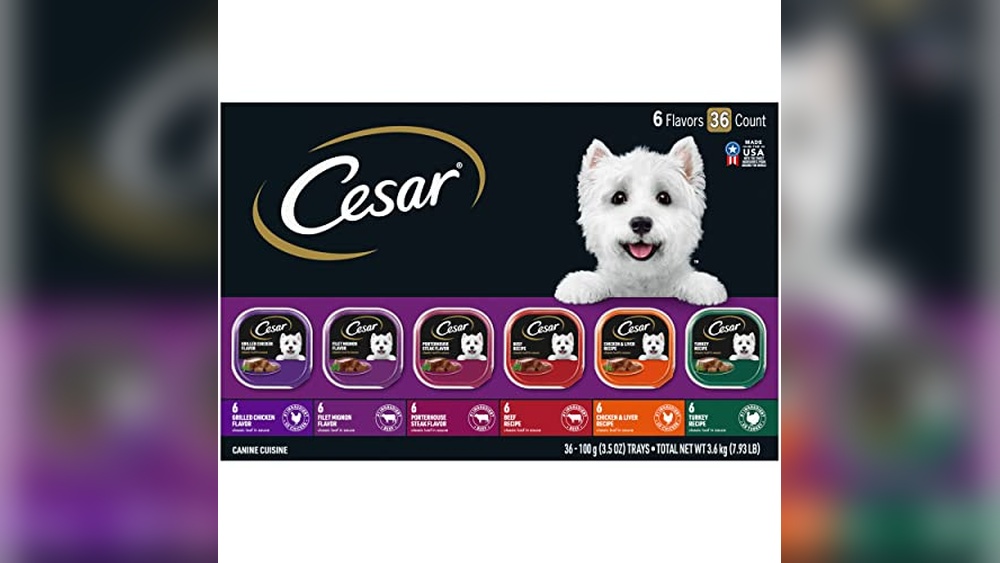 Best Wet Dog Food for Small Dogs
