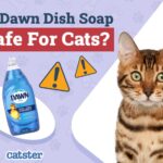Dawn Dish Soap for Fleas on Cats