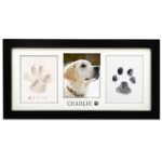 Diy Dog Gifts