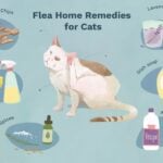 Does Vinegar Kill Fleas