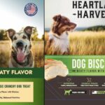 Dog Food Recall Salmonella