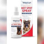 Dog Food to Prevent Hot Spots