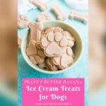 Dog Ice Cream Recipe Yogurt Banana Peanut Butter