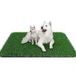 Fake Grass for Cats