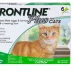 Flea Medicine for 8 Week Old Kitten