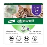 Flea Treat for Older Cats