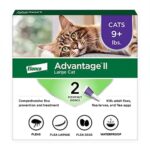 Flea Treatment for Cats