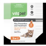 Flea Treatment for Kittens