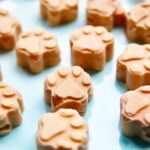 Frozen Dog Treat Recipes