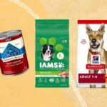 Good Dog Food Brands