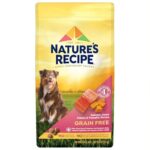 Healthiest Dry Dog Food