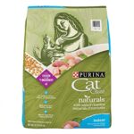 Healthy Real Food for Cats