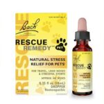 Herbal Remedies for Dogs