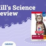 Hills Cat Food Recall