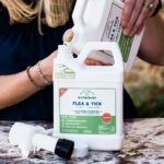 Homemade Flea And Tick Killer for Yard